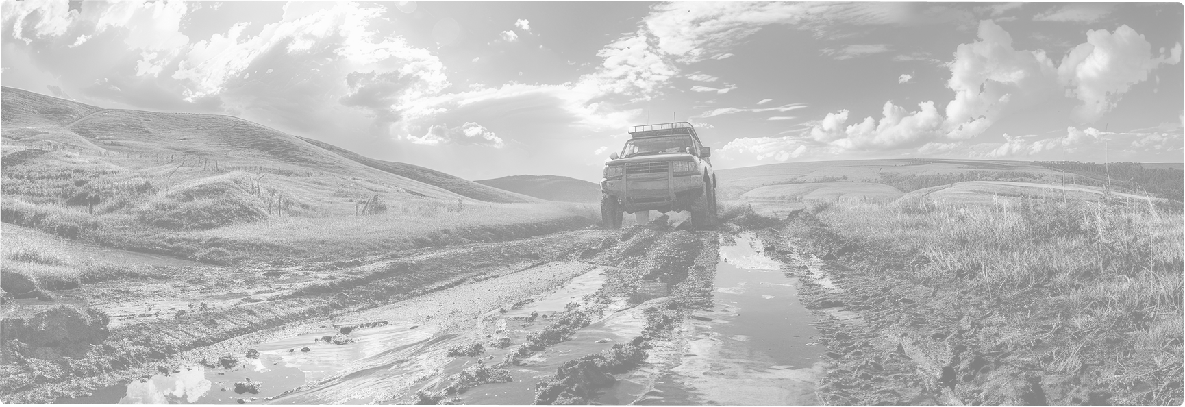 Fondo Dimasa Ford